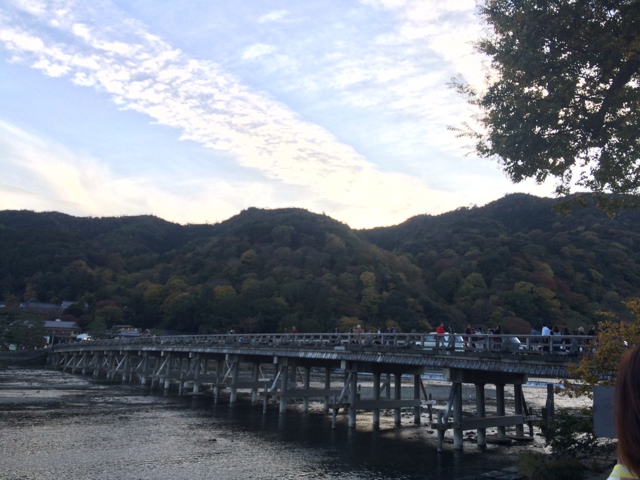 11月12日 愛宕山_6447.jpg