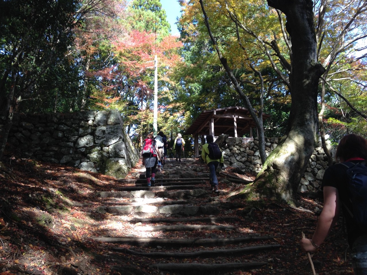11月12日 愛宕山_7971.jpg