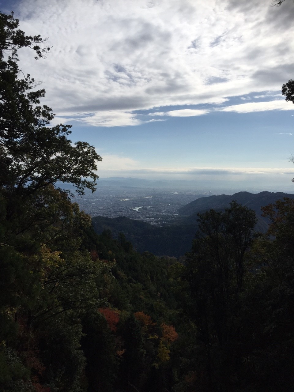 11月12日 愛宕山_9972.jpg