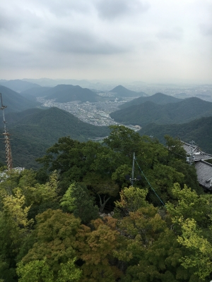 IMG_5155.JPG