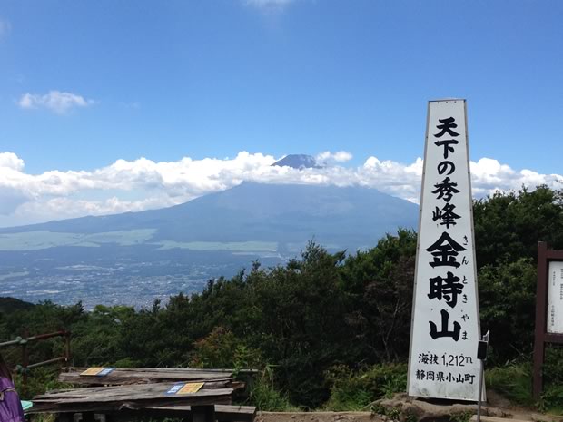 まさか り 由来