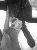 070412_131213_ed.jpg