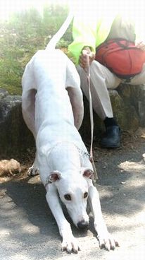 遊ぼうよ〜〜♪