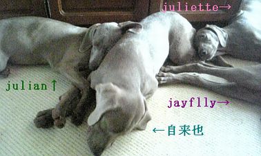 兄弟まったり〜〜〜
