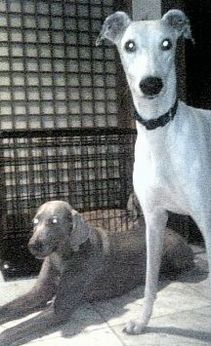 やっぱ私じゃなきゃだめよねん!