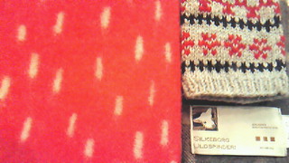 201101051956000.jpg