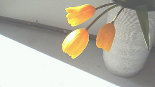 201101051348001.jpg