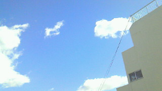 201103041026000.jpg