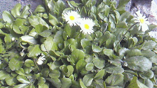 201103101341000.jpg