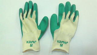 201103102046001.jpg