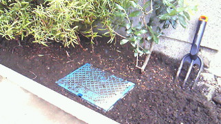 201109011709000.jpg