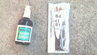 201109011810000.jpg