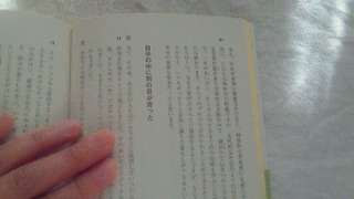 201111010838000.jpg