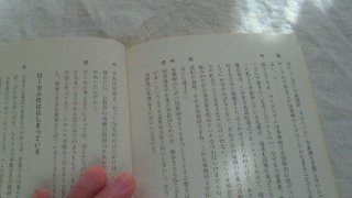201111010840000.jpg
