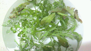201204202115000.jpg