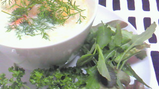 201204202209000.jpg