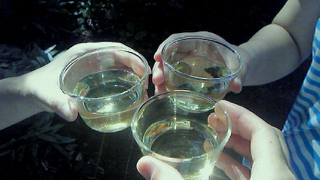 201207101457000.jpg