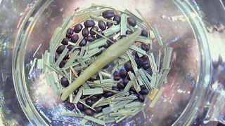 201207101437000.jpg