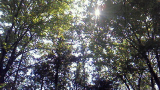201207101421000.jpg