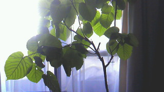 201207311558000.jpg