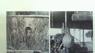 201208021653000.jpg