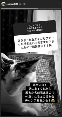 ゴルファー ネコ