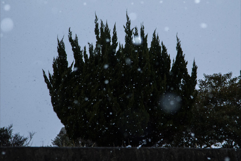8871雪800.jpg