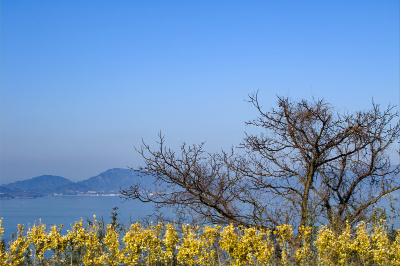 0412竜王山.jpg