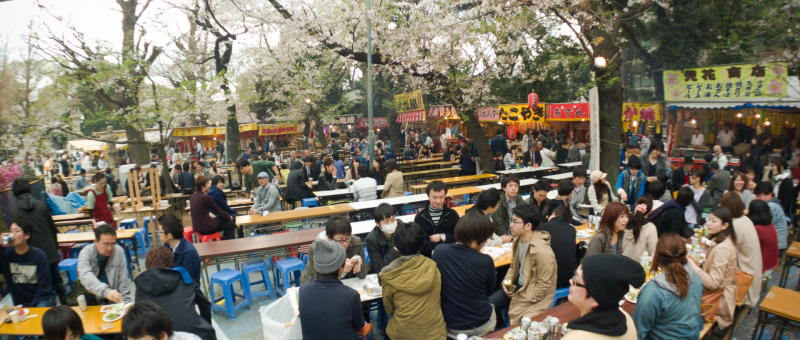 花見2015.jpg