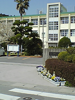 20060318_43368.jpg