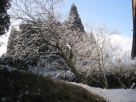 雪景色3