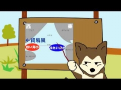エルニーニョ現象