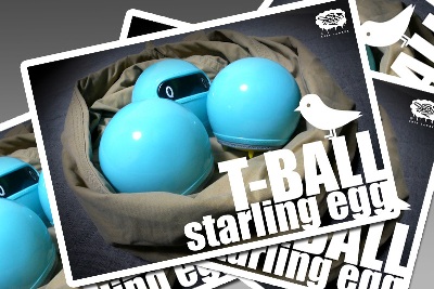 T-BALL_starling_egg-blog
