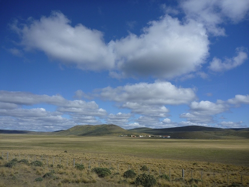P1110941.jpg