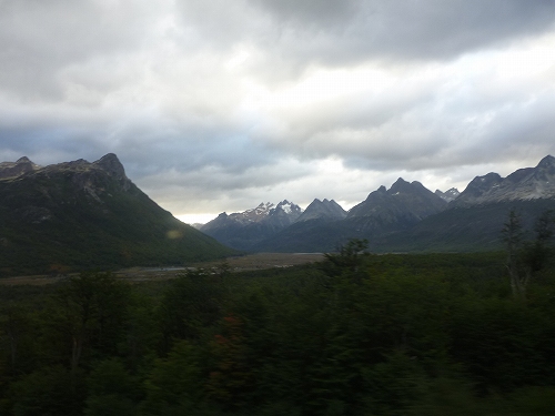 P1110988.jpg
