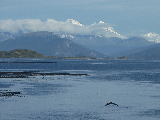 P1120055.jpg