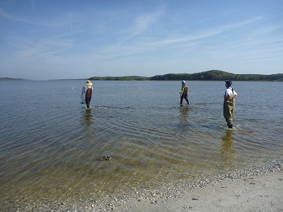 P1120417.jpg