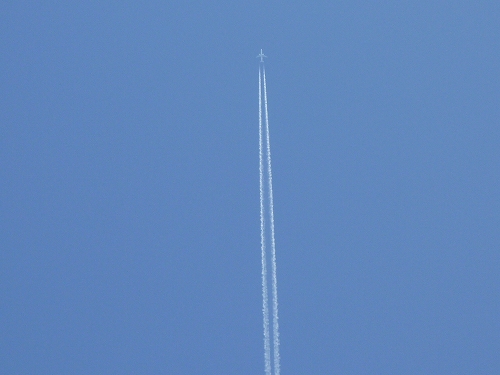 P1120419.jpg