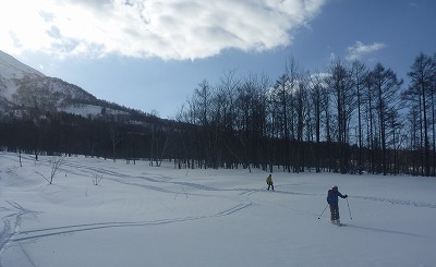 P1310297.jpg
