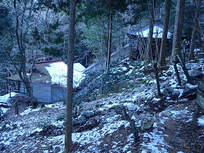 P1147831.jpg