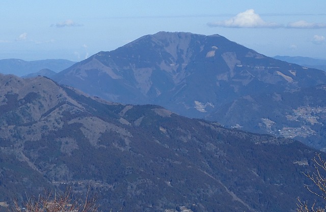 P1147859.jpg