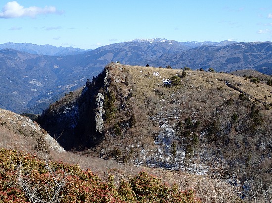 P1147873.jpg