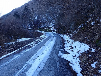 P1147874.jpg