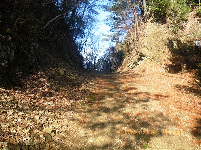 IMGP7926.jpg