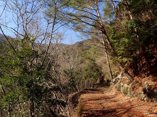 P2237732.jpg