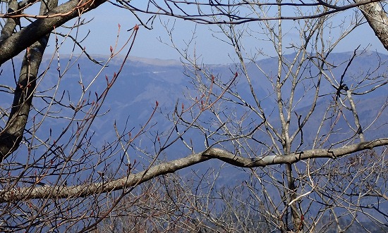 P2237740.jpg