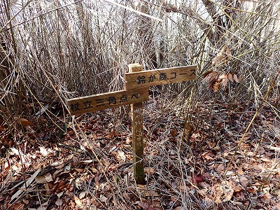 P2237743.jpg
