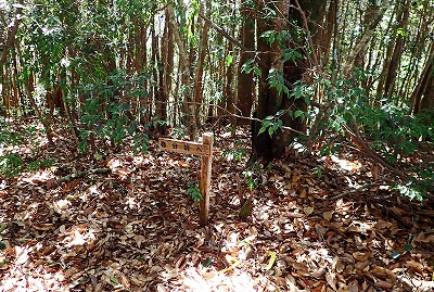 P2237745.jpg
