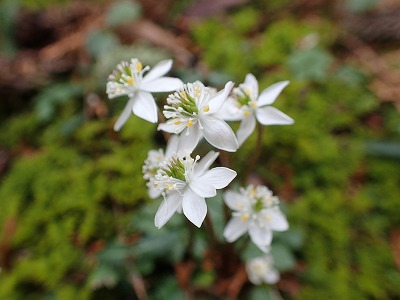 P2247771.jpg