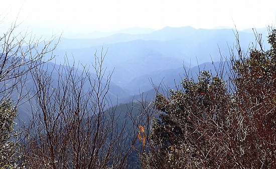 P2237737.jpg